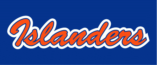 New York Islanders 2008-2017 Wordmark Logo iron on transfers for clothing